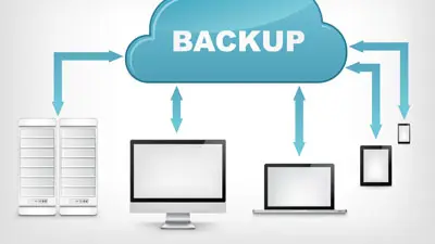Data Backup and Transfer
